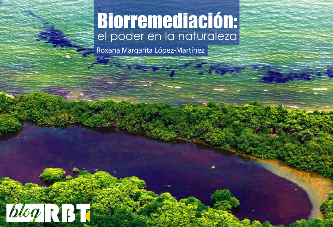 Derrame petrolero en el lago de Maracaibo, Venezuela (2010). Fuente: Globovisión (CC BY-NC 2.0)