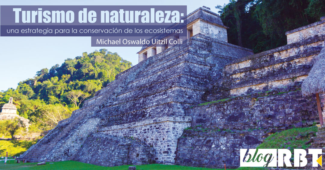 Ruinas arqueológicas en Chiapas, México. Fuente: Carlos Alcazar (Pixabay)