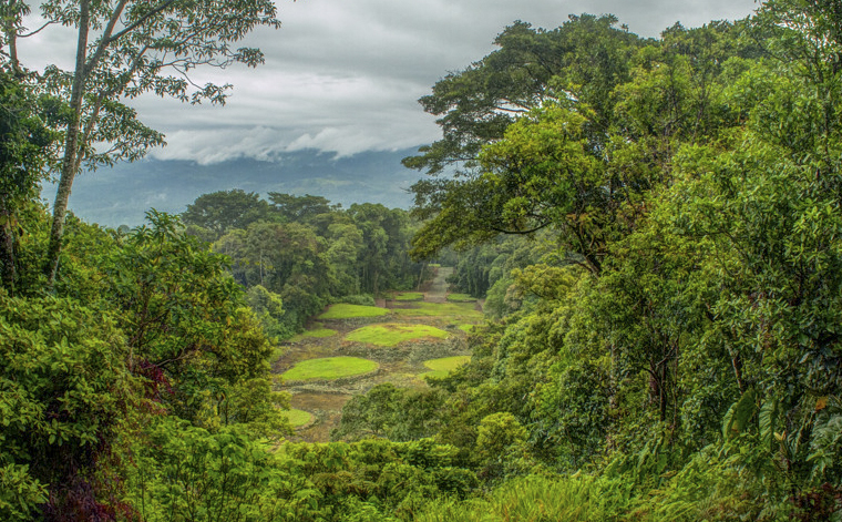 Monumento Nacional Guayabo ("_MG_9004_5_6.jpg" de "carva822" bajo licencia CC BY-NC 2.0)