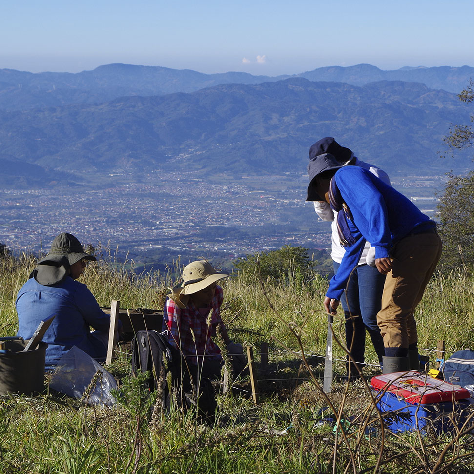 Excavaciones durante la Práctica de Investigación en Arqueología en el año 2017, el valle de El Guarco (Cartago) al fondo