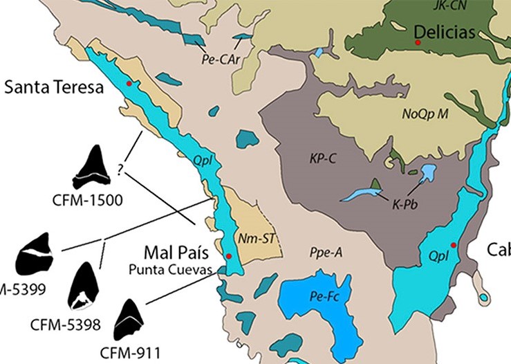 Fragmento del mapa geológico del extremo sur de la península de Nicoya y de ubicación de los hallazgos (Laurito, Valerio y Calvo, 2022)